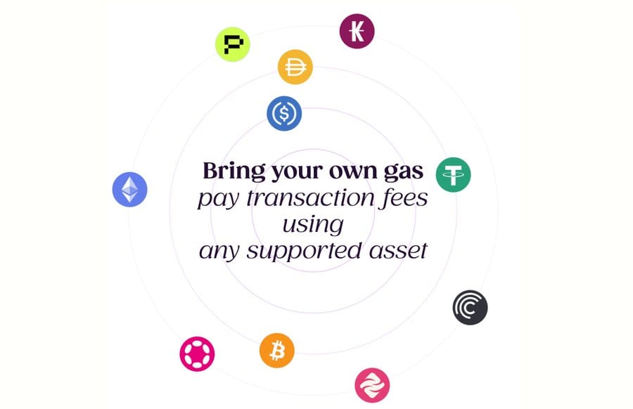 A Day in the Life: Blockchain, Coworking, and ‘Polkadot by Default’